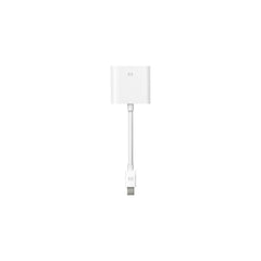 Cable Adaptador Mini Displayport A DVI