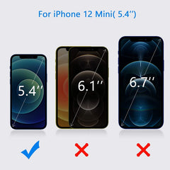 Vidrio Pantalla Templado iPhone 12 Mini Caja + Kit